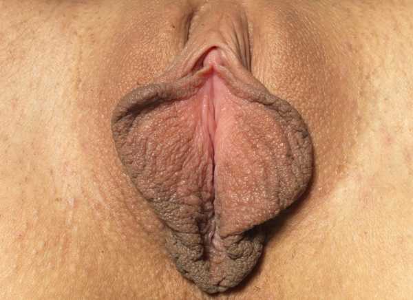 половые губы женщины - 3